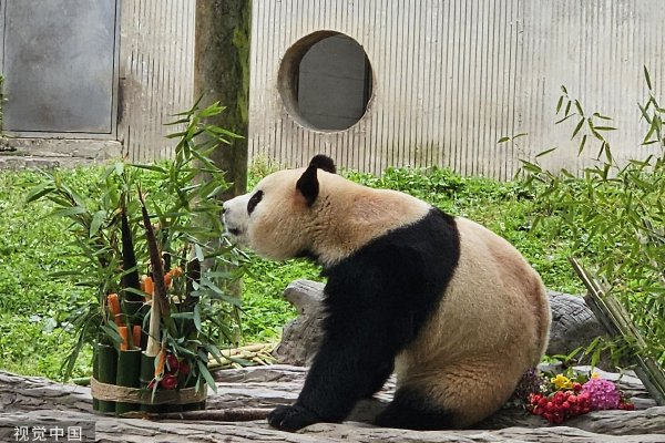 福建尤溪县发生3.5级地震 部分铁路区段限速运行　　国铁集团客运部副主任 朱文忠：实行市场化票价机制后，综合考虑列车发到时刻、停站多少、旅时长短和客流分布等各种因素，以公布票价为上限合理确定各次列车车票的具体执行票价。即对一些旅速较快、长期供不应求的列车车票执行不打折票价，对一些停站较多、方便沿线旅客出行的列车车票执行打折票价。以武广高铁为例，这次执行不打折票价的均为上座率较高的列车，而执行打折票价的均为上座率较低的列车。